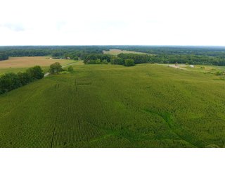 TRACT 52 - ILLINOIS LAND AUCTION - 4,810+/- ACRES OFFERED IN 85 TRACTS IN FRANKLIN, WILLIAMSON, HAMILTON & SALINE COUNTIES, ILLINOIS